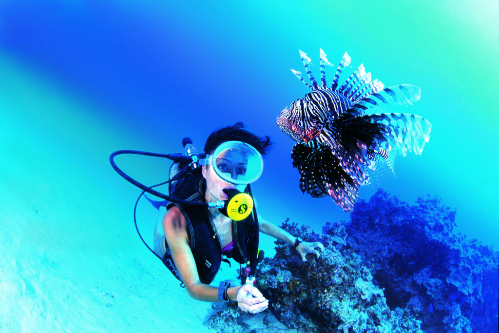 french-polynesia-diving1